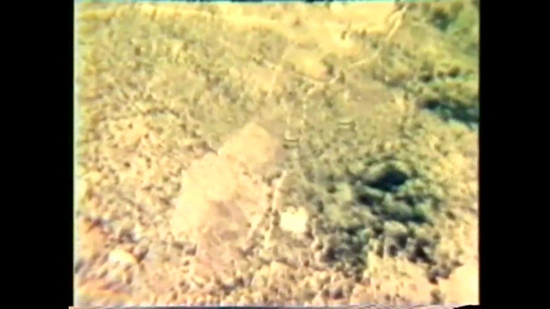 The Unforgettable: Chlípná postel