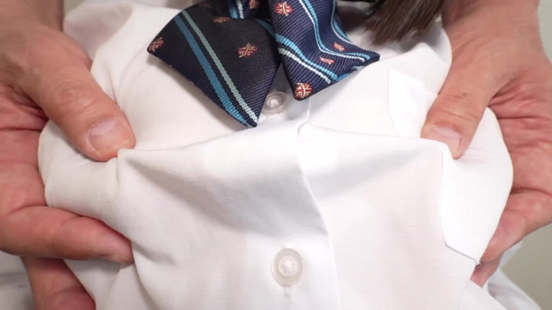 Raptor Inc: Hinano - Nipple Pinching Training Nipple Orgasms. Acreepy Teacher, Making You...
