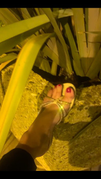 My Feet
