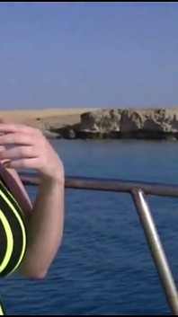 Islak amcıklar