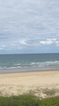 Beach Cock Flash