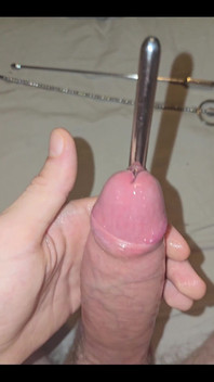 Horny Cocksounding with S Massive Rod!
