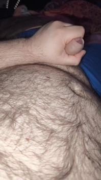 Fetter Bär Wichst Und Kommt Auf Haarigen Bauch