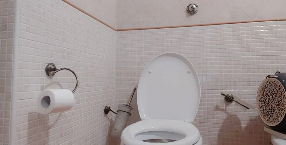 I Know, I've Done It Several Times, but I Like Nosy on My M. While She's on the Toilet (Savannah fetish dream) I Know, I've Done It Several Times, but I Like Nosy on My M. While She's on the Toilet (Savannah fetish dream)