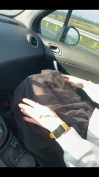 Would You Like Me to Be Your Traveling Companion?