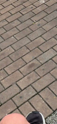 I'm Going to Kick Your Ass with My Size 45 Foot - 12½ Inches