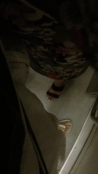 Hot MILF Stranger Grabs & Rubs My Hard Dick Through Shorts on Crowded Train