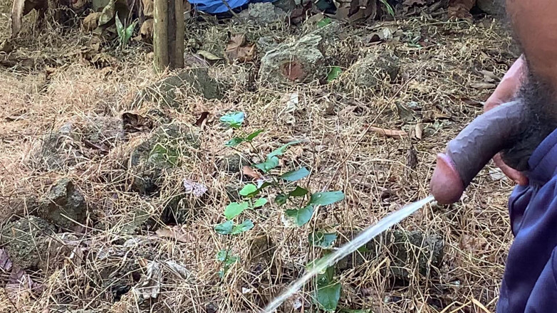 Nuragee: Quand Je Suis Allé Dans La forêt Pour Cueillir Du...