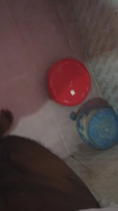 सुबह की लकड़ी बड़ा काला वापस आ गया है