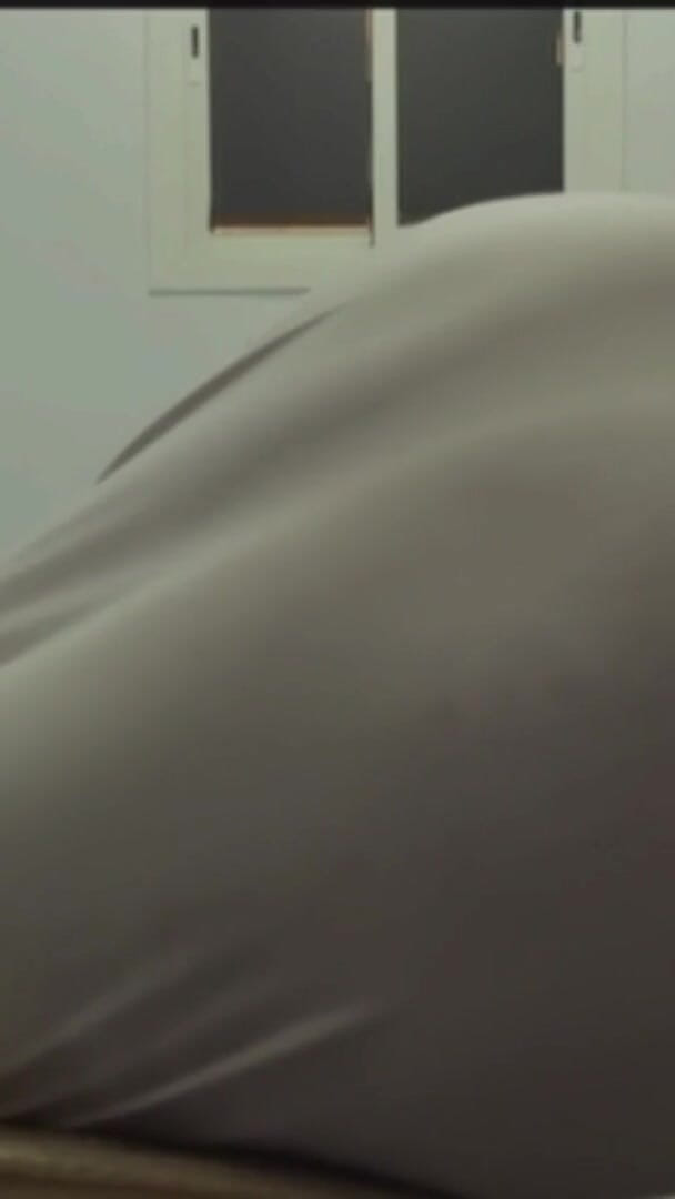 Essasexe (VerticalArgument4) Essasexe (VerticalArgument4)