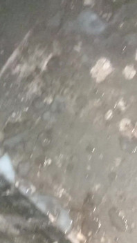 Indian Boy Black Dick Masturbate and Cum