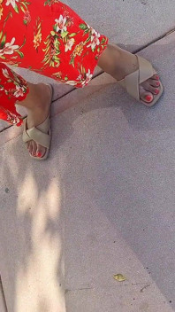 Redbone itinérante avec pretty Red’s à South Beach