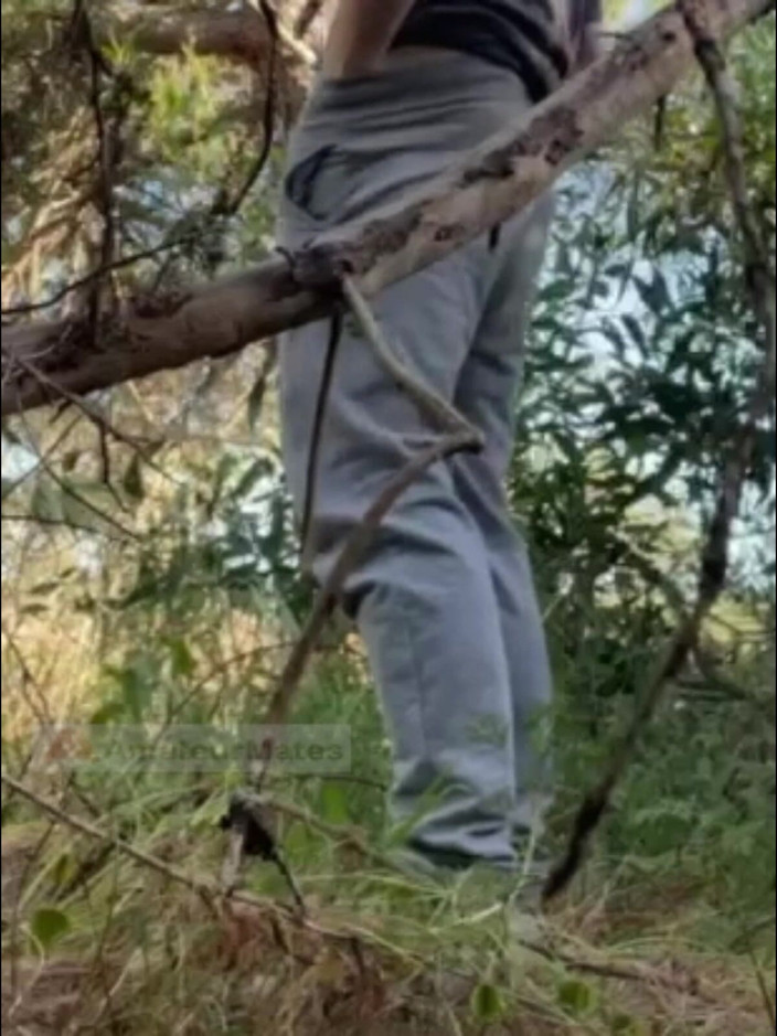 AmateurMates: Un Caldo Ragazzo Amatoriale Succhia E Lecca Il Culo Nei...