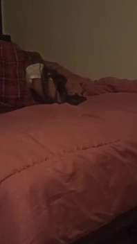 She Looks All Innocent at College but in Bed She Wants All (complete Video)