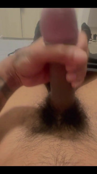 Beautiful Cock Is Stressed Out