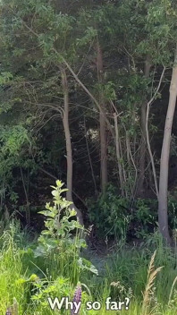 Berjalan di depan umum dengan air mani di wajah dan seks berisiko di semak-semak