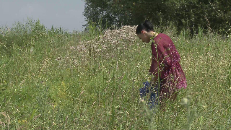 Pervy Studio: 시테레아의 시오후키 오르가즘의 심각성을 목격하다