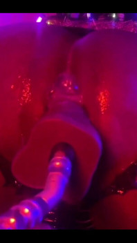 Fall/halloween Bundle