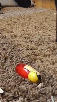 Schiacciare la bambola matryoshka!