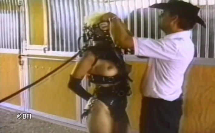 House of lords and mistresses in the spanking zone: Pet girls training