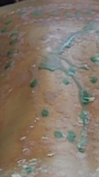 Máy bay bà già thích sáp nóng bỏng nhỏ giọt qua đít cô ấy