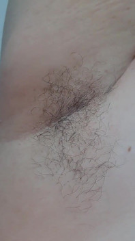 Hairy Armpit Show