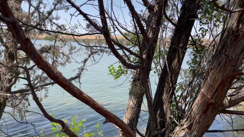 Teasey2024: Moment sexy en plein air au bord de la rivière
