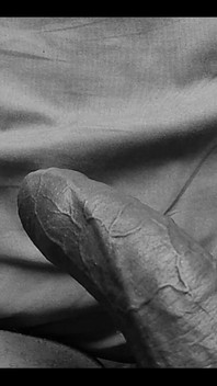 This Morning. Little King Wanted Some Love.