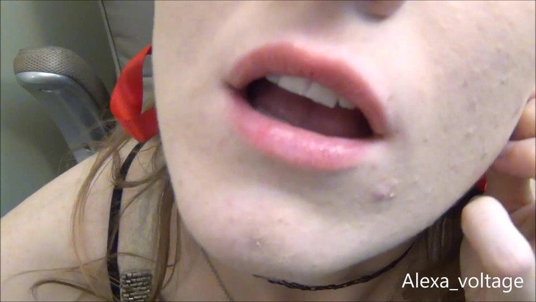 Alexa-Voltage: 探索Alexa的嘴巴