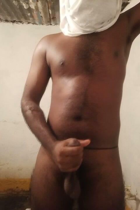Mr xxx gay: XXX Filmy Jhk