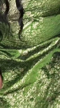 Bihari Aunty Fucked in Her House