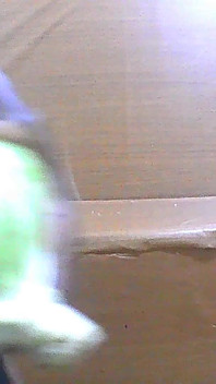 Sexy Femboy Crossdresser Slut Fucking Gaping Cabbage Asshole