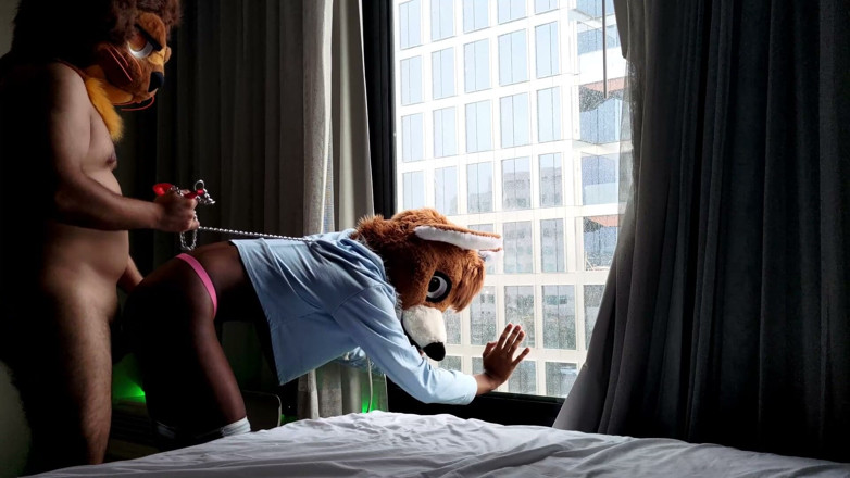 PawgrammerSocks: Bareback Femboy Furry Fursuit Fuck in Front of Window