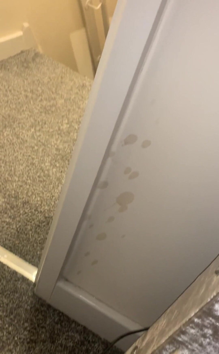 jay jenson: Wenn nur id von erwischt, dass auf videofick kam ich...