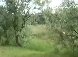German Fuck Movie: Pieprzony w jeziorze nudystów