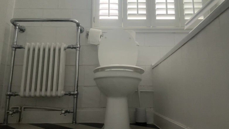 Miss Valentina: Cum sobre mi inodoro