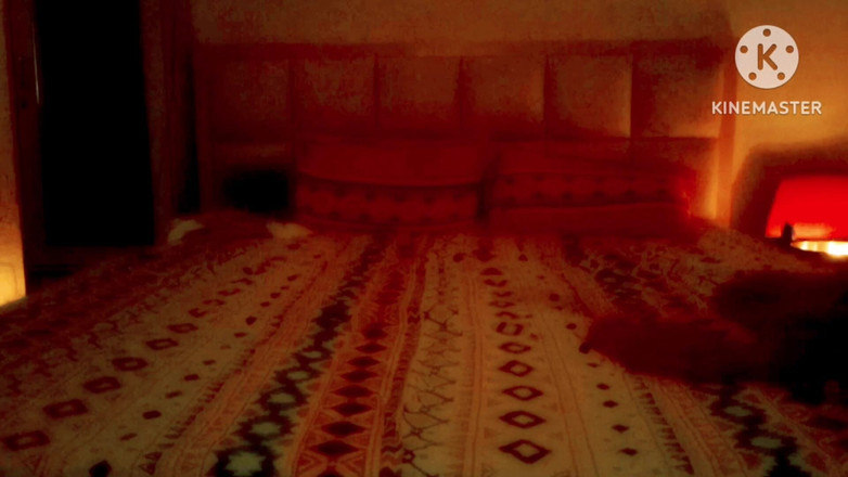 Ankita10000: Ein sexy indisches paar mit flitterwochen im Hotelzimmer La Nivas...