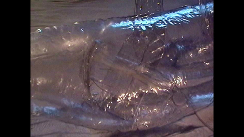 Mark Hannes: Cleardoll Depp Pussy Fill masturbace