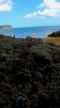 Putri duyung terlihat! Pertemuan basah dari lost cove