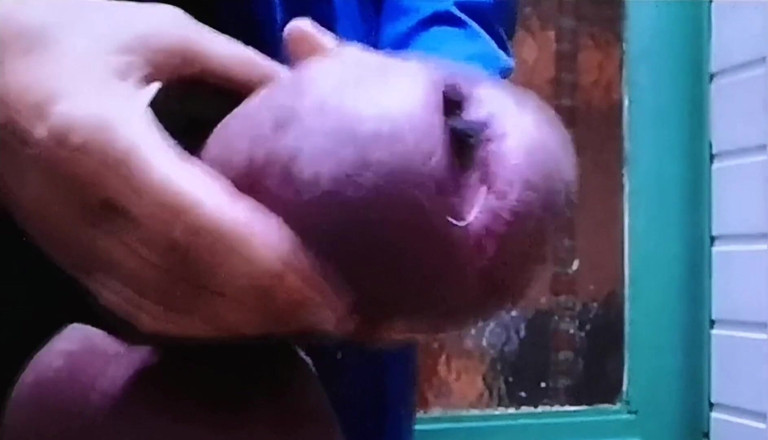 Monster_Meat_: Stříkací zatížení po načtení