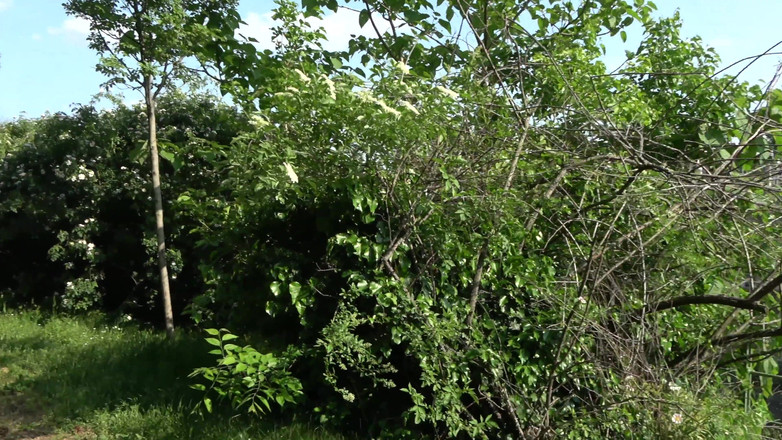 German Amateur Desire - ORRANGE MEDIA: 私をあなたの汚い小さな秘密にしてください