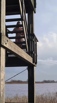 A îndrăznit să striptease complet goală și să meargă până la partea de sus a Turnului de Căutare