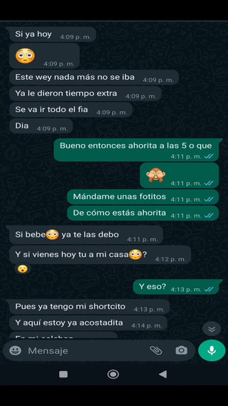 Mexicasero: 元恋人の売春婦とのホットチャット、写真付き