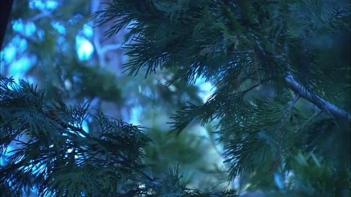 CBD Media: Gorąca młoda modelka z dużym tyłkiem zostaje wylizana i zerżnięta...