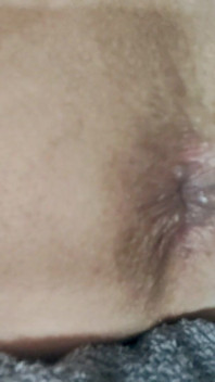 Nl Slut