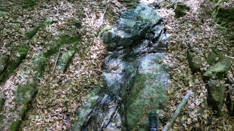 CumPearls: Fkk in the Nature