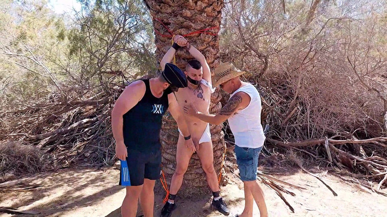 Master Drex: À l'ombre d'un palmier