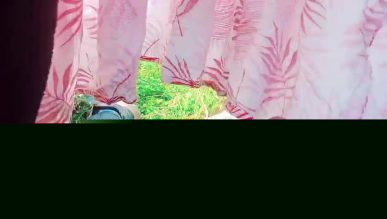 Bk Vlogs: 德西哥在田野里被性交