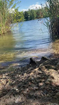 2in1: Urina Peste Cap - Urină - Fântână