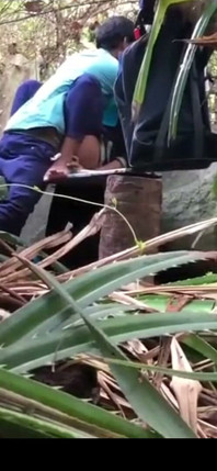 Pasangan India Berkongkek di dalam hutan